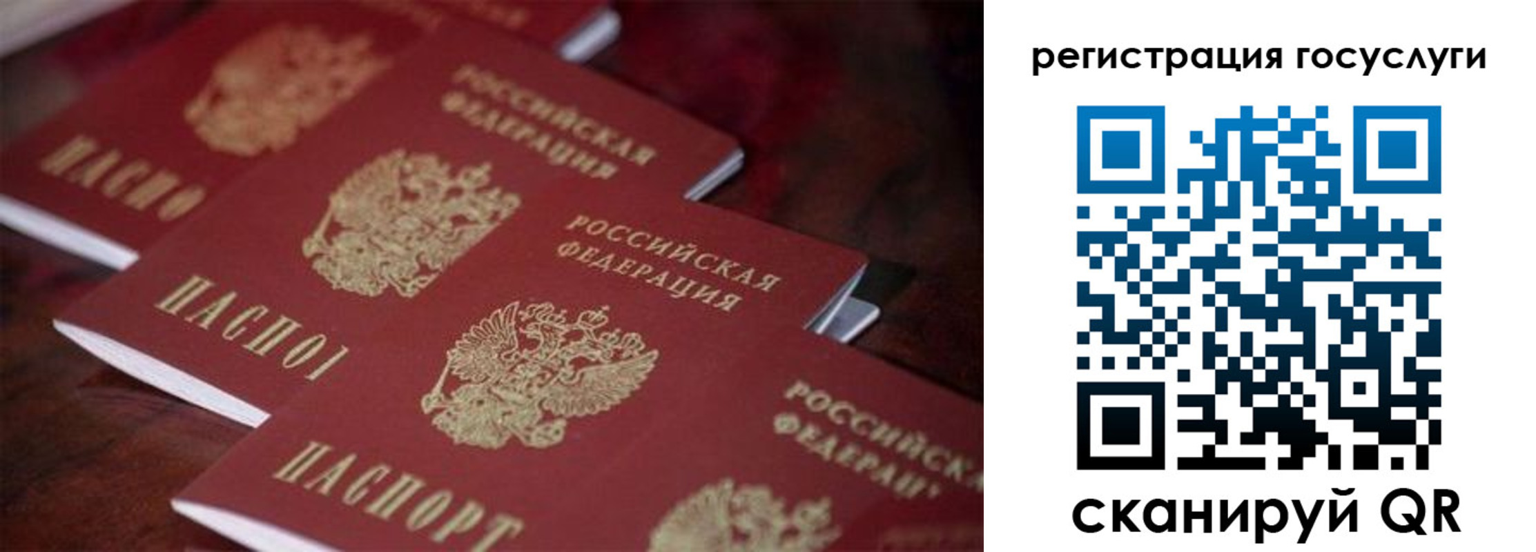 где прописаться в Дальнереченске